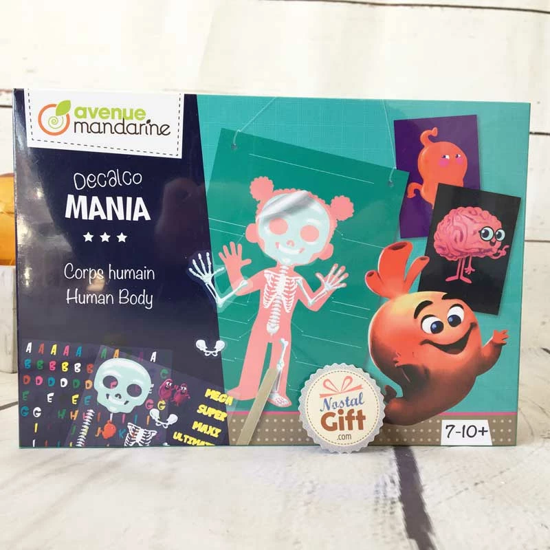 Boîte Créative Décalcomanie - Corps Humain 3 Boîte Créative Décalcomanie - Corps Humain