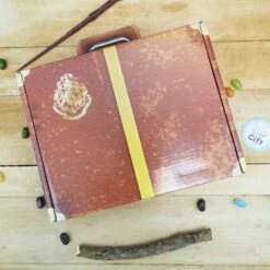 Harry Potter - Kit D'écriture Valise - 13 Pièces - Maped -cadeaux boutique coffret malette materiel scolaire harry potter